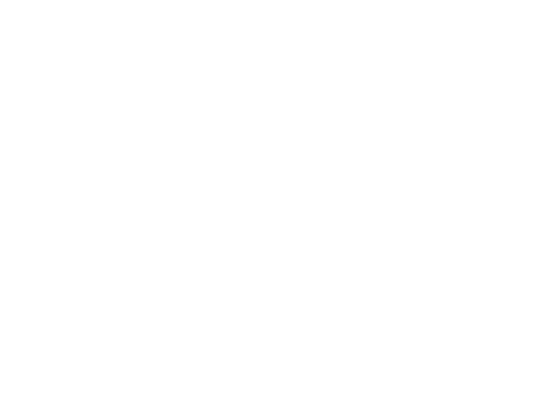 The Bodyshop
